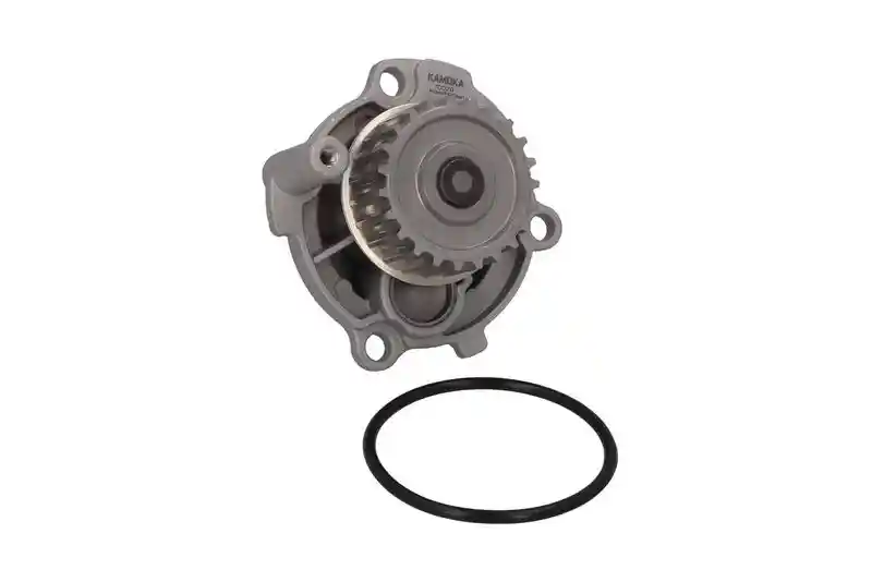 KAMOKA T0029
