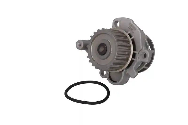 KAMOKA T0033