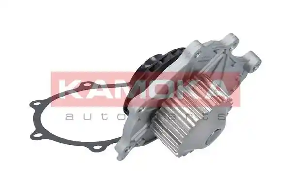 KAMOKA T0087
