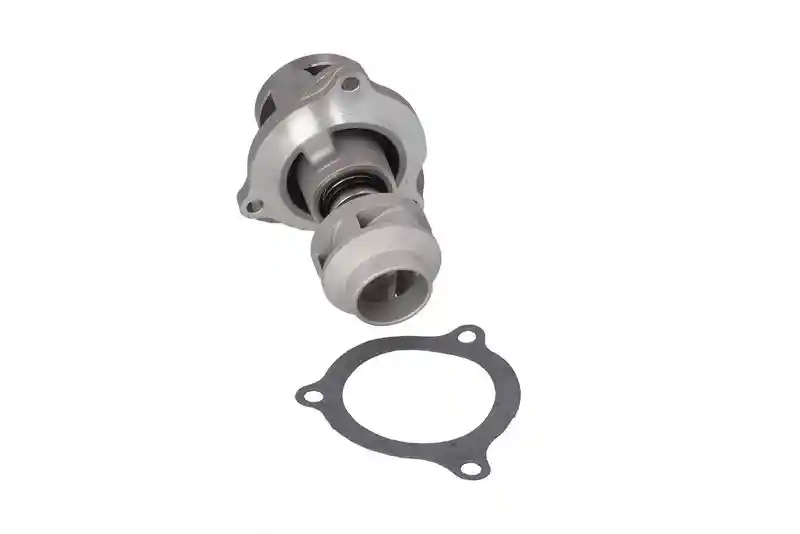 KAMOKA T0135