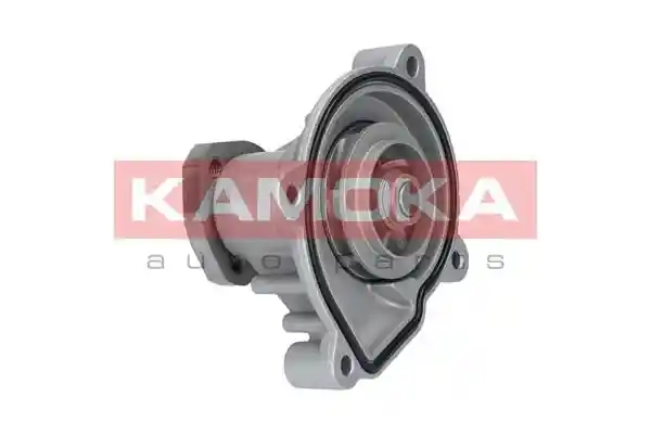 KAMOKA T0272