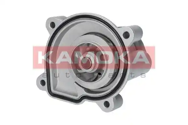 KAMOKA T0272