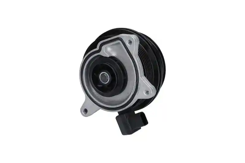 KAMOKA T0278