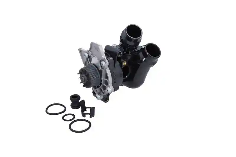KAMOKA T0329