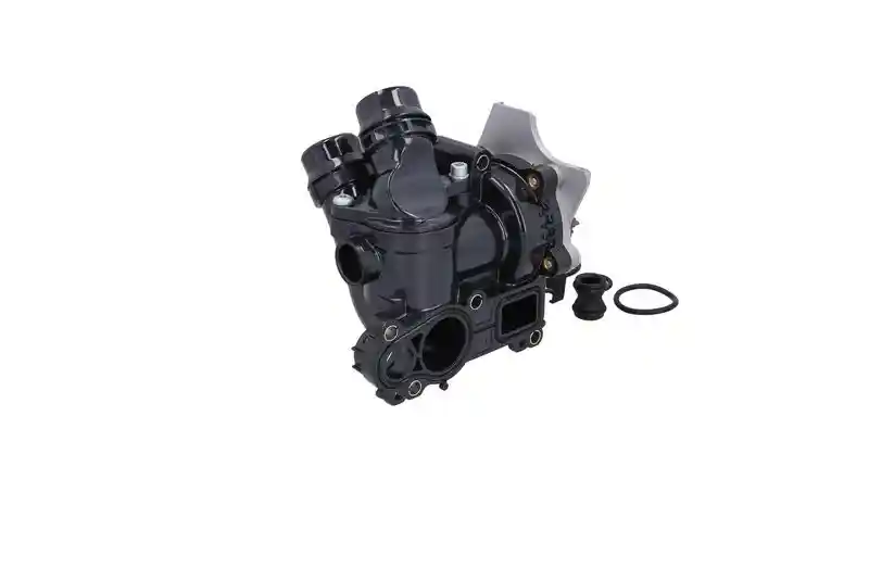 KAMOKA T0329