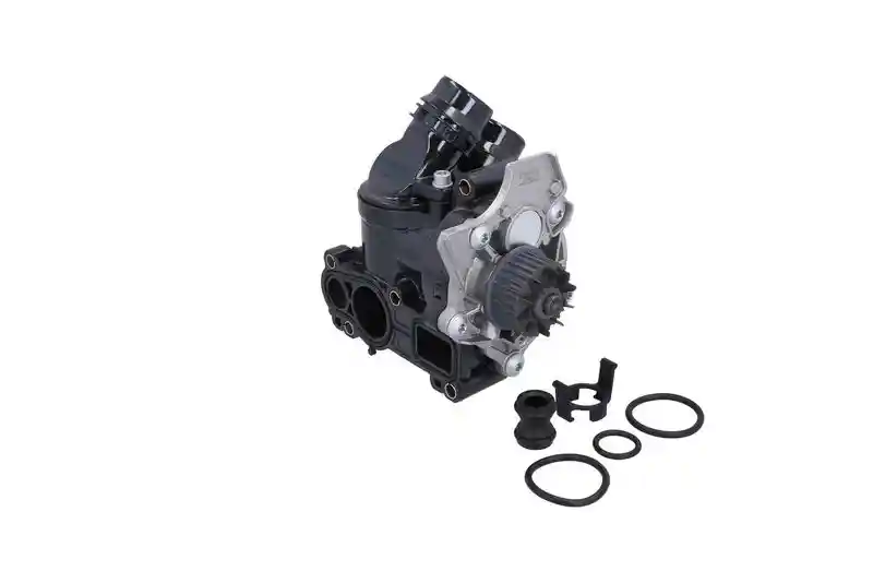 KAMOKA T0329