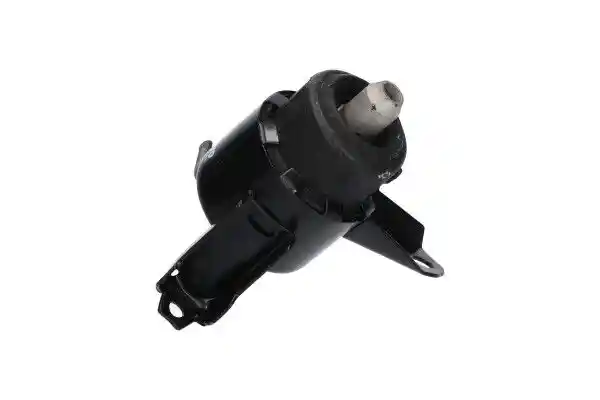 Kavo Parts EEM-4646