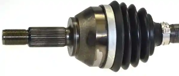 L�BRO 304535