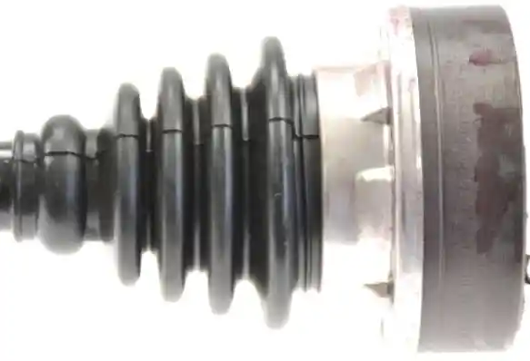 L�BRO 305395