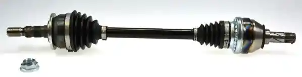L�BRO 305788