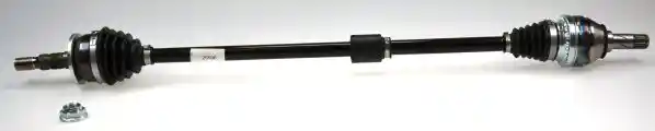 L�BRO 305789