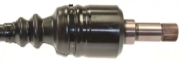 L�BRO 305831