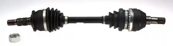 L�BRO 305961