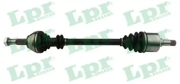 LPR DS20095