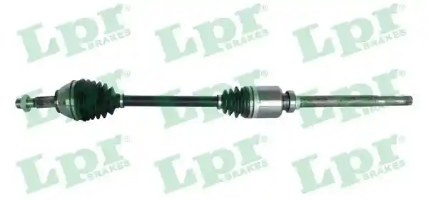 LPR DS20096