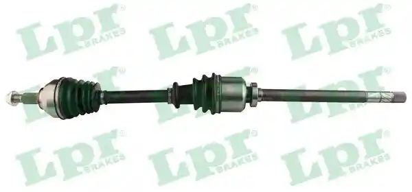 LPR DS52391