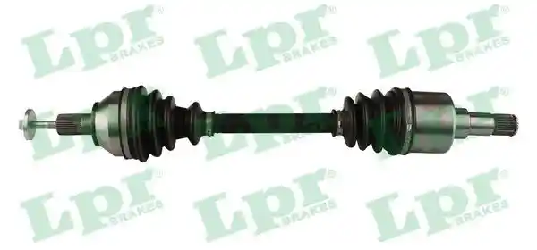 LPR DS60361