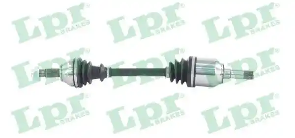 LPR DS61031