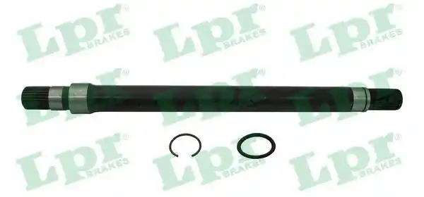 LPR DS61194