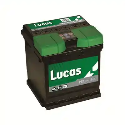 LUCAS LP202