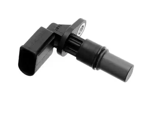 LUCAS SEB1123