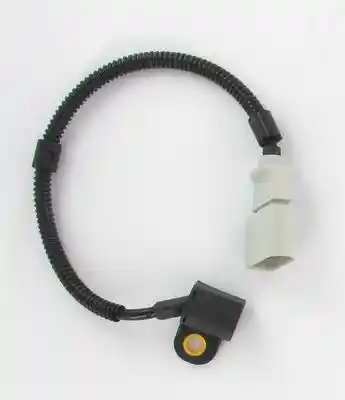 LUCAS SEB1633
