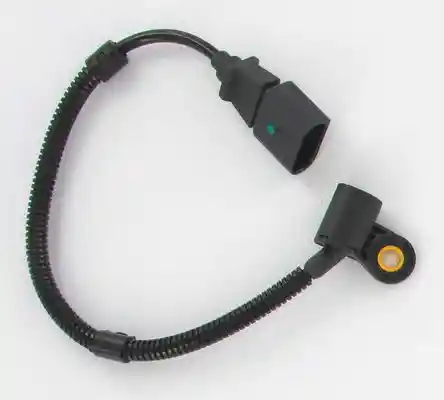 LUCAS SEB1781