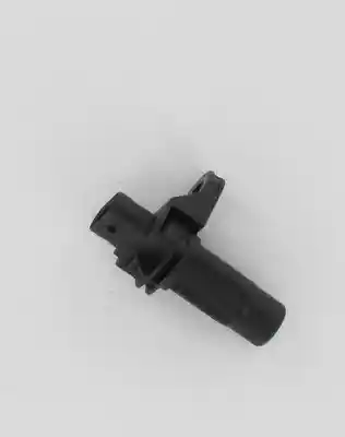 LUCAS SEB1794