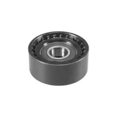 MAGNETI MARELLI 331316170014