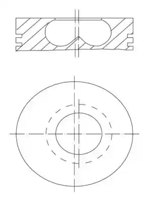 MAHLE 009 50 00