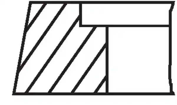 MAHLE 030 31 N1