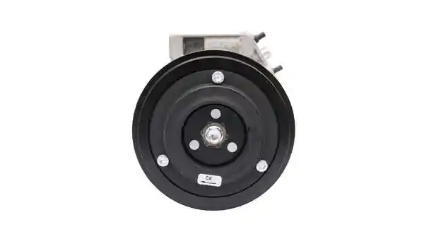 MAHLE ACP 56 000S