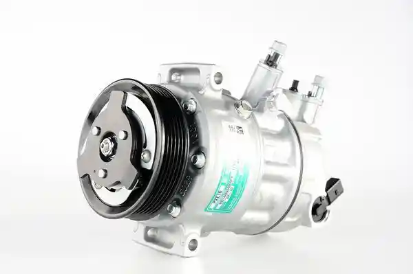 MAHLE ACP 6 000P