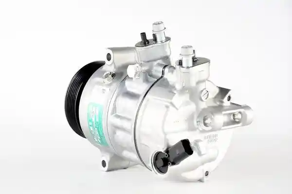 MAHLE ACP 6 000P