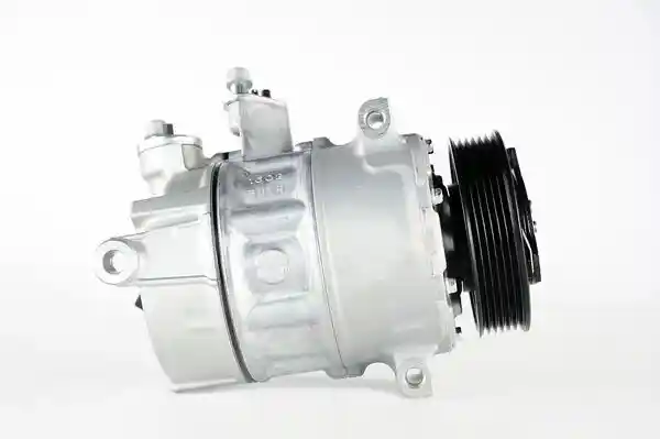 MAHLE ACP 6 000P