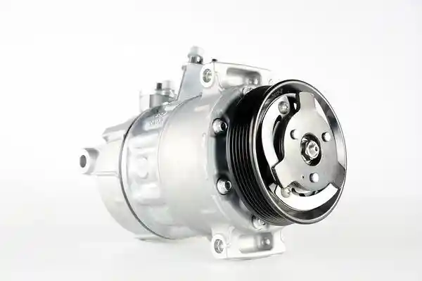MAHLE ACP 6 000P