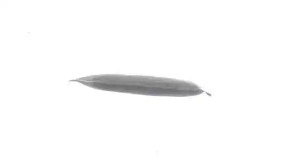 MAHLE AD 339 000S