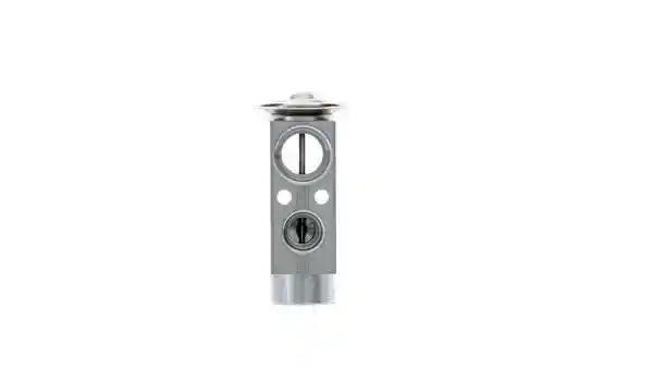MAHLE AVE 165 000P
