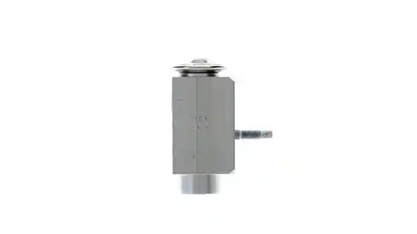 MAHLE AVE 165 000P