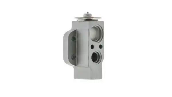 MAHLE AVE 58 000P