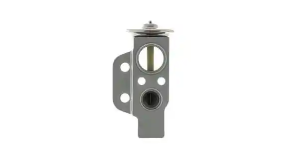 MAHLE AVE 58 000P