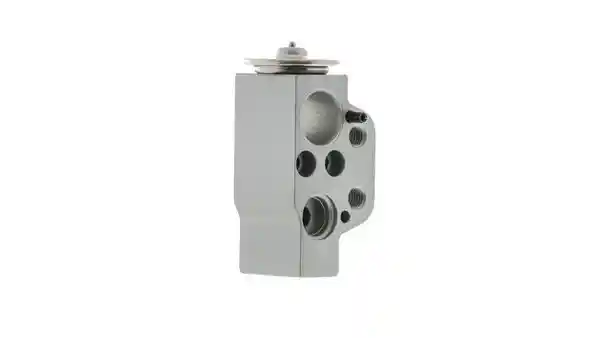 MAHLE AVE 58 000P