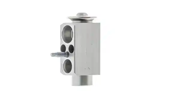 MAHLE AVE 66 000P