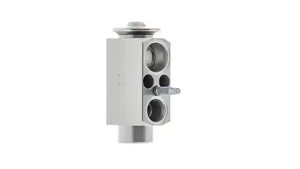 MAHLE AVE 66 000P