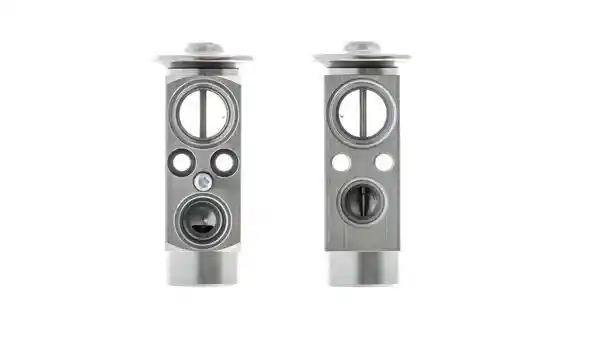 MAHLE AVE 66 000P