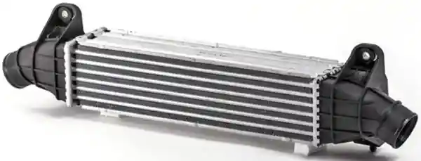 MAHLE CI 25 000P MAHLE CI 25 000P