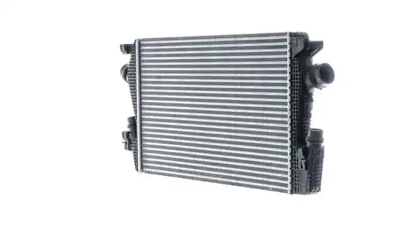 MAHLE CI 625 000P