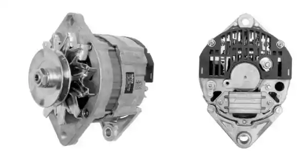 MAHLE MG 191