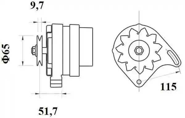 MAHLE MG 21