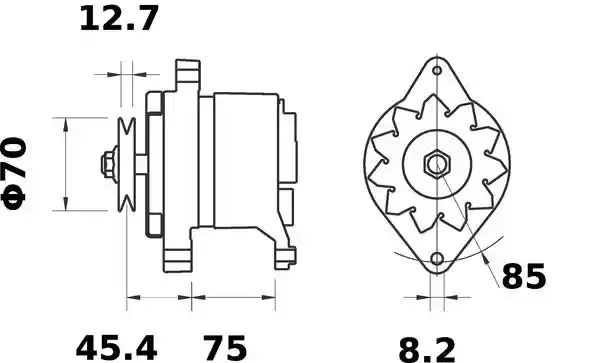 MAHLE MG 221